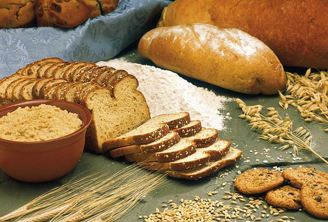 Various grains.jpg.