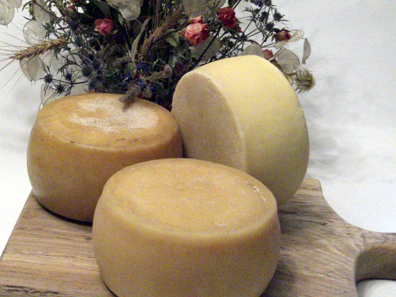Amatriciano cheese.jpg. Amatriciano cheese.jpg.