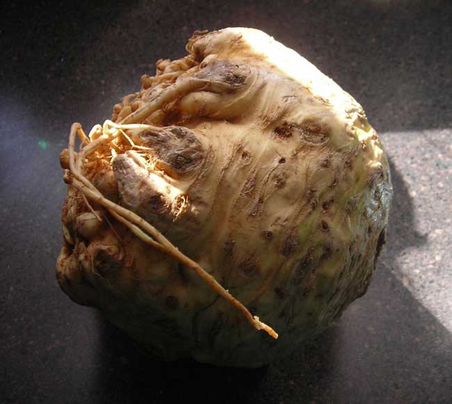 Celeriac.jpg.
