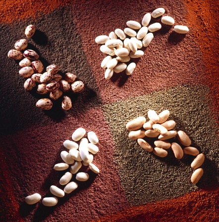 Alubia de La Baneza-Leon.jpg.