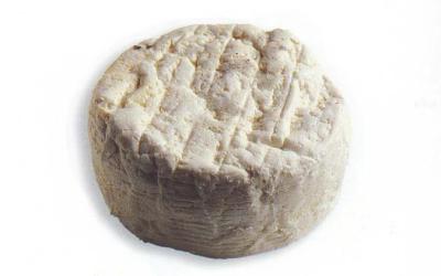 Ricotta al fumo di ginepro o affumicata di Anversa cheese.jpg. Ricotta al fumo di ginepro o affumicata di Anversa cheese.jpg.