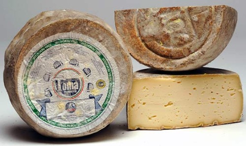 Toma Piemontese cheese.jpg. Toma Piemontese cheese.jpg.