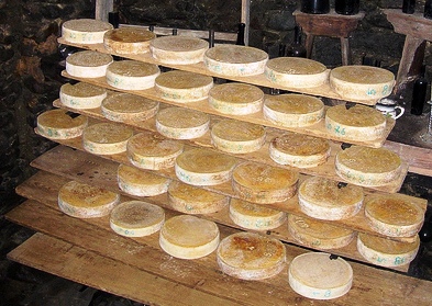 Bitto Valtellina cheese.jpg.