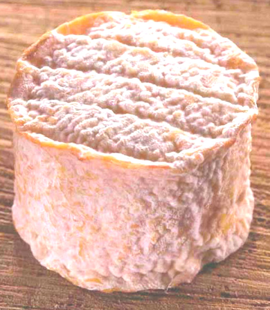 Rigotte de Condrieu cheese.jpg. Rigotte de Condrieu cheese.jpg.