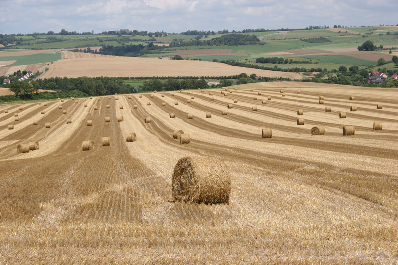 Rural Haute-Normandie.jpg.