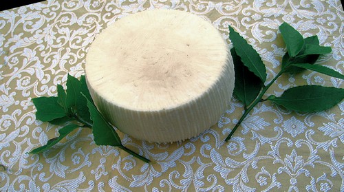 Pecorino Salaprese cheese.jpg.