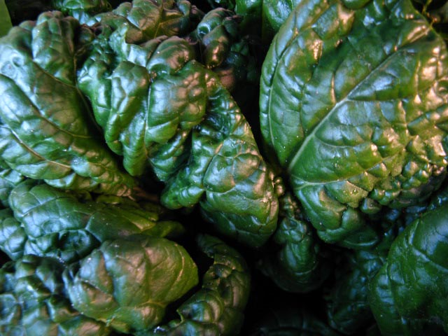 Spinach.jpg.