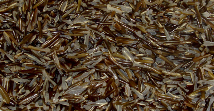 Wild rice.jpg.