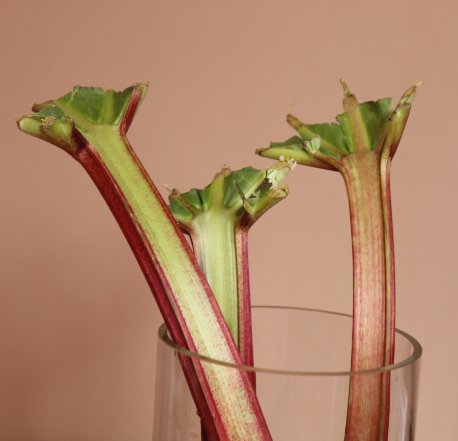 Rhubarb clever cut.jpg.