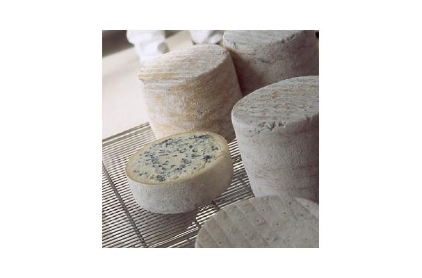 Brebiblu cheese.jpg. Brebiblu cheese.jpg.