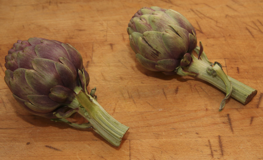 Two globe artichokes ready to prepare.jpg.