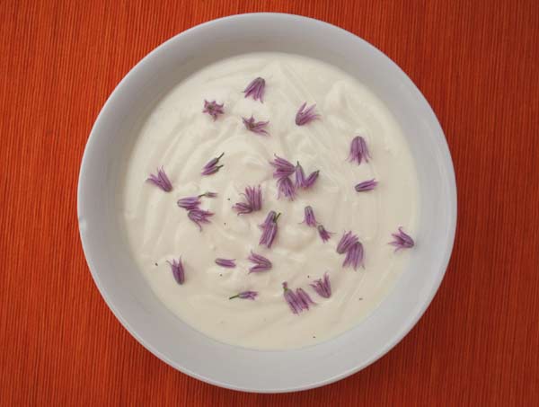 Garlic yogurt recipe.jpg.