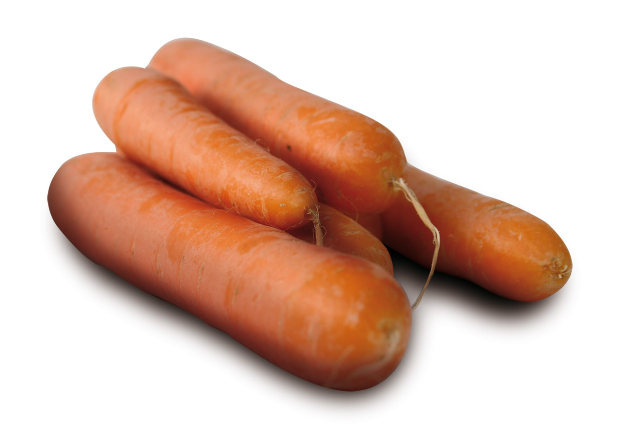 Lammefjordsgulerod (Lammefjord carrot).jpg.
