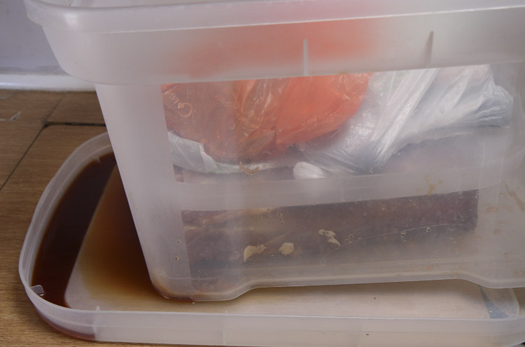 Curing bacon week2.jpg.