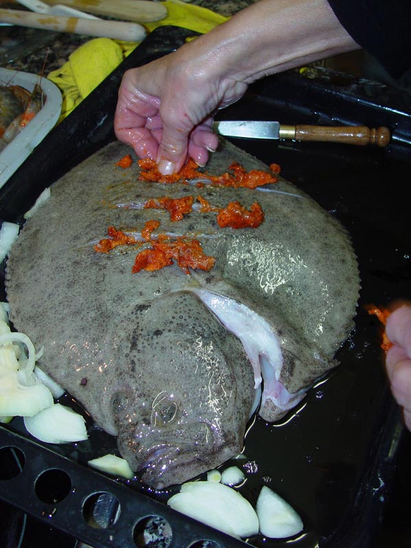 Turbot.jpg.