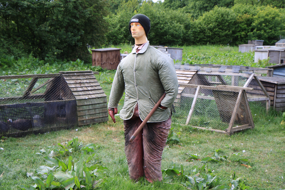Mumbles farm scarecrow.jpg.