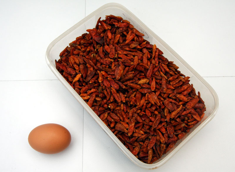 Red hot chilli mash recipe.jpg. Red hot chilli mash recipe.jpg.