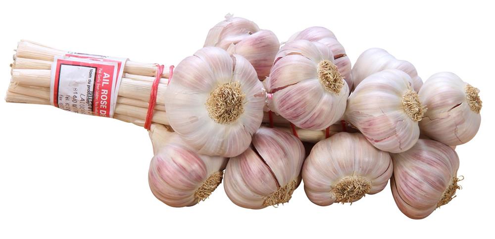 Ail rose de Lautrec (Lautrec pink garlic).jpg. Ail rose de Lautrec (Lautrec pink garlic).jpg.
