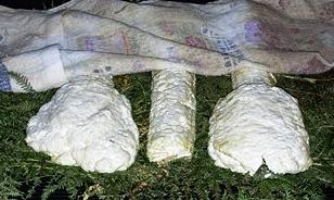 Ricotta salata di Mammola cheese.jpg.