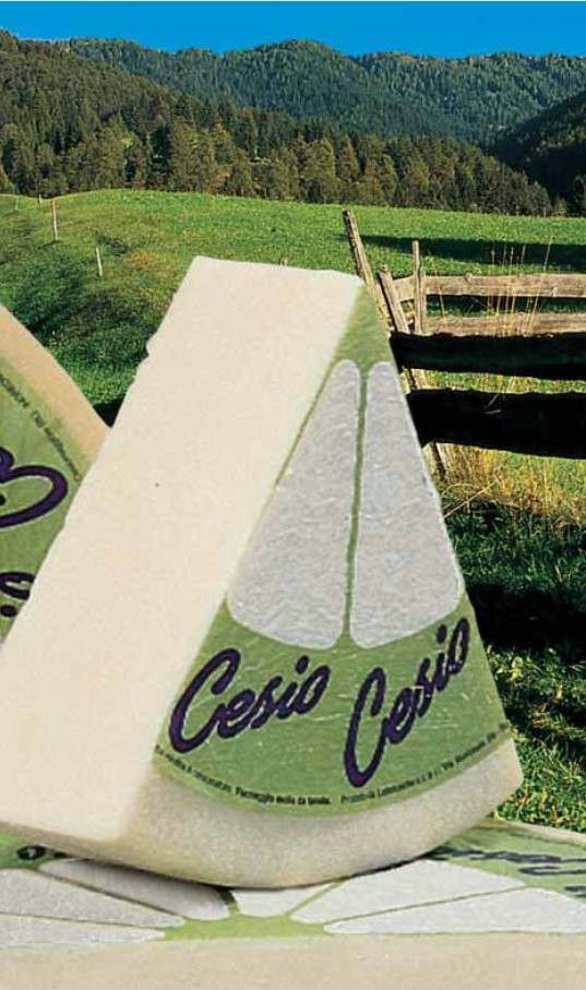Cesio cheese.jpg.