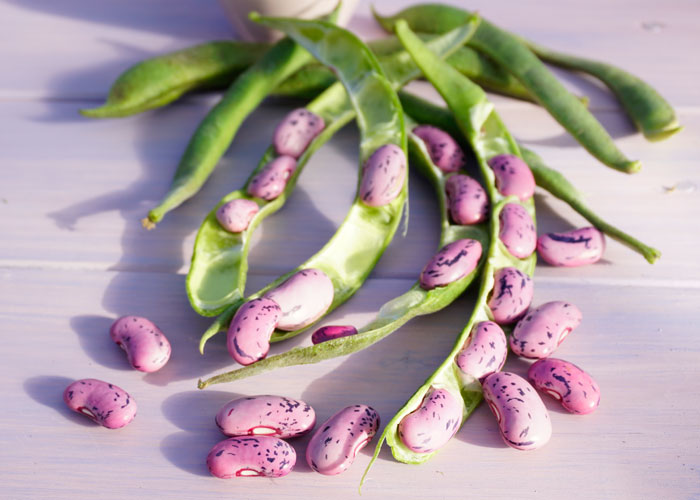 Steirische Käferbohne (Styrian runner bean).jpg.