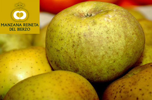 Manzanas Reineta del Bierzo.jpg. Manzanas Reineta del Bierzo.jpg.