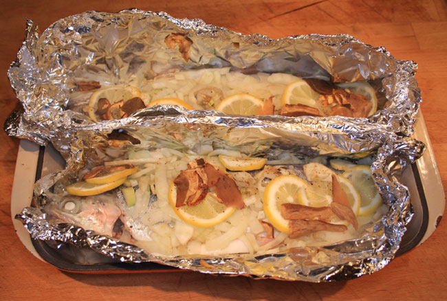 Foil Trout parcels.jpg.