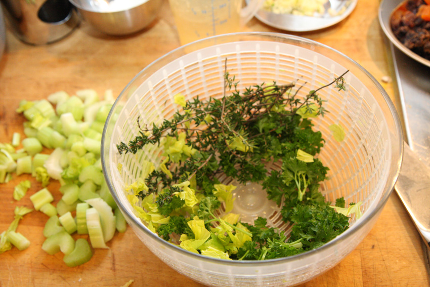 Sprigs of thyme with the parsley and celery leaves.jpg. Sprigs of thyme with the parsley and celery leaves.jpg.