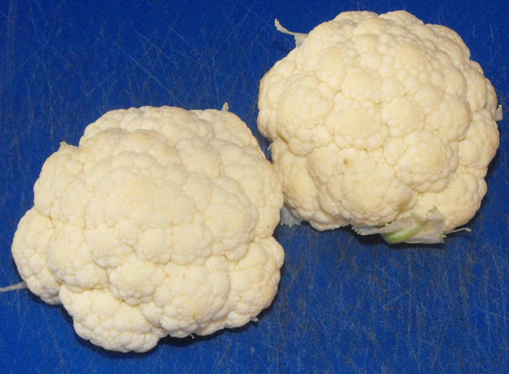 Baby cauliflowers.jpg. Baby cauliflowers.jpg.