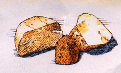 Crottin de Champcol.jpg. Crottin de Champcol.jpg.