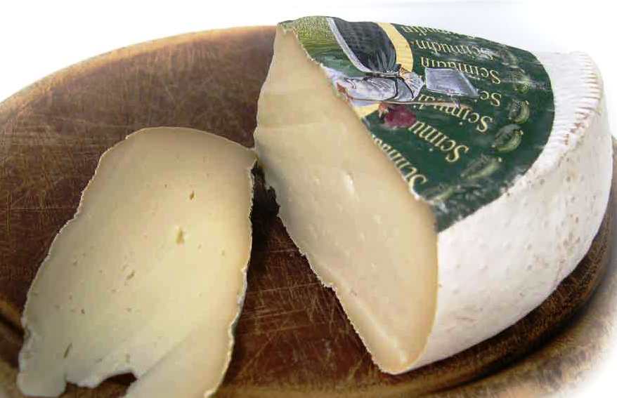 Scimudin cheese.jpg. Scimudin cheese.jpg.