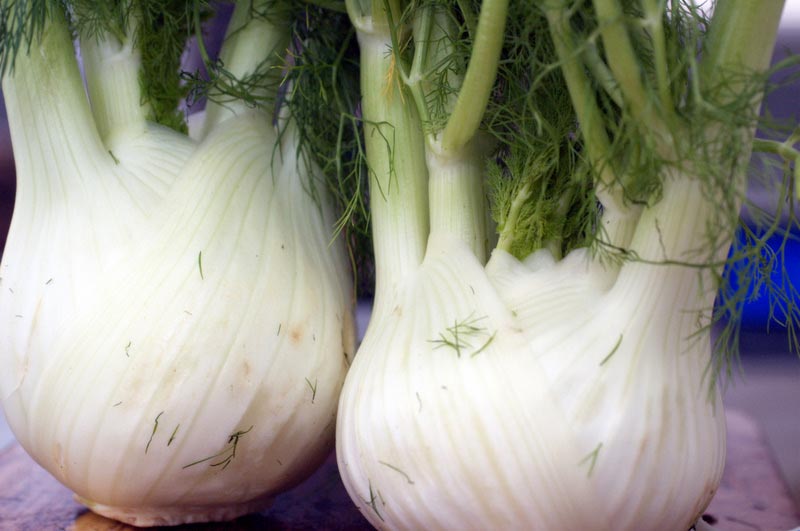 Fennel relish, Vegetarian recipe