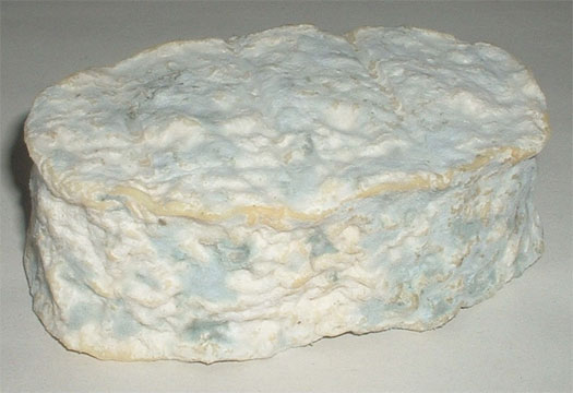 Chevrette du Poitou cheese.jpg.
