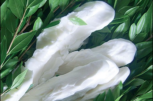 Mozzarella nella mortella cheese.jpg.