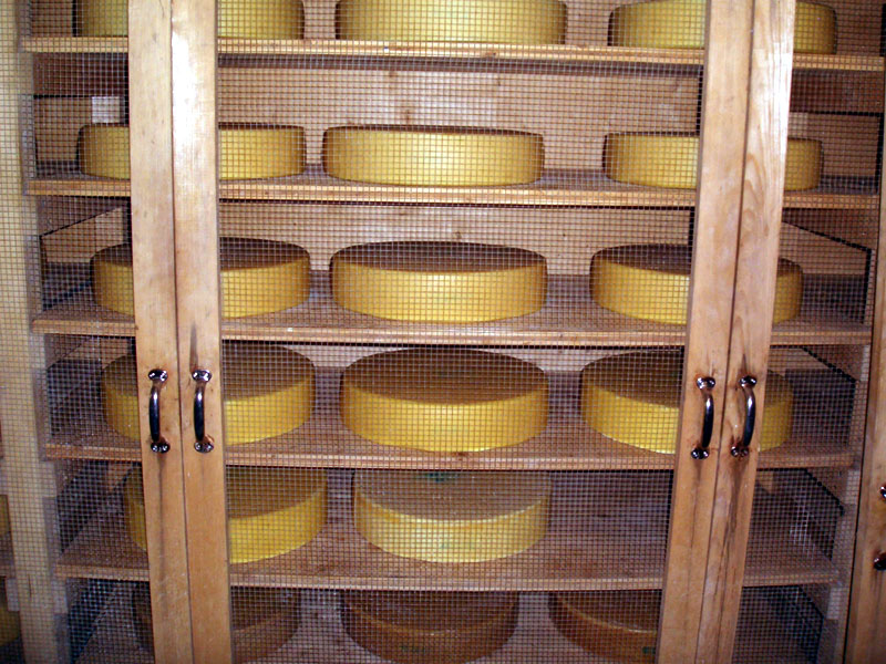 Bergkäse cheese.jpg. Bergkäse cheese.jpg.