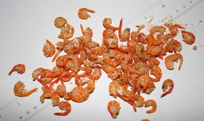 Dried shrimps.jpg.
