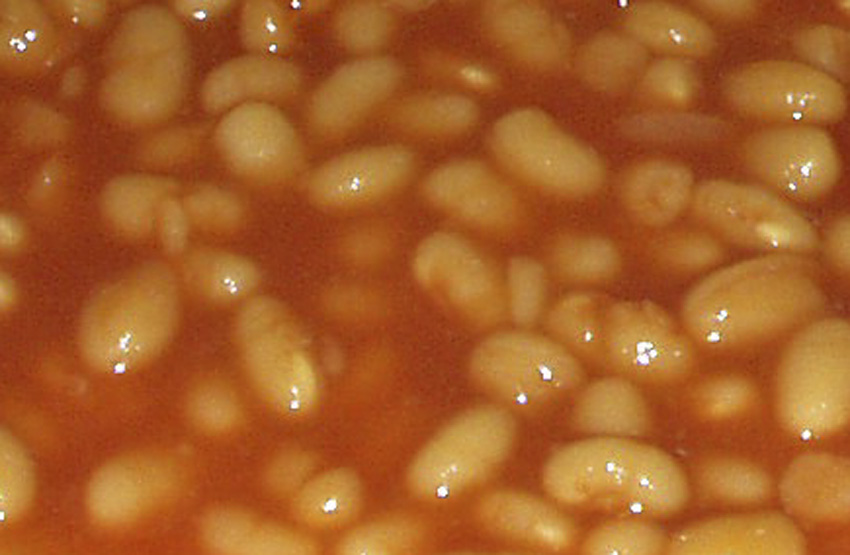 Baked beans in tomato sauce plated.jpg.