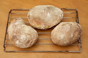 Ciabatta bread recipe