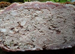 The texture of the cooked terrine