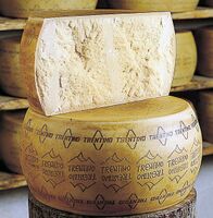 Grana Trentino cheese
