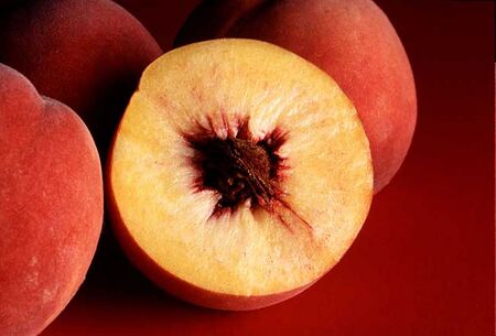 peach  Tradução de peach no Dicionário Infopédia de Inglês - Português