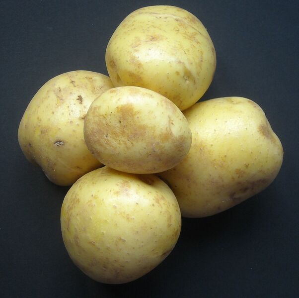 File:Elfe potatoes.jpg