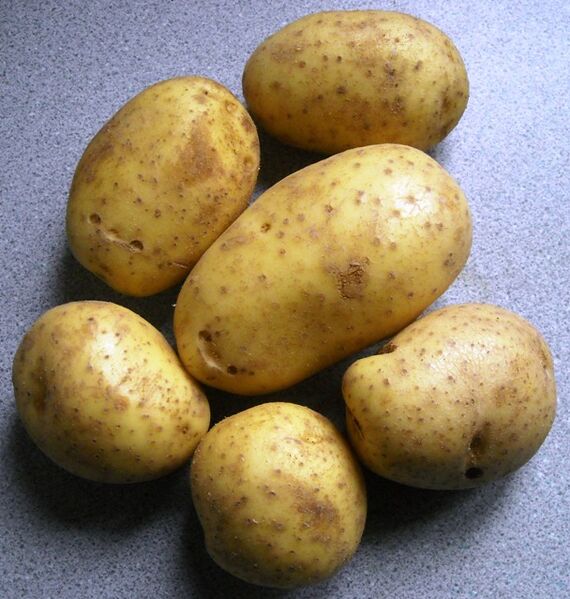 File:Silvana potatoes.jpg