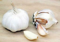 Soupe à l’ail des Pyrénées - Pyrenean garlic soup (V)