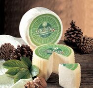 Caciotta di Asiago cheese