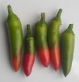 Superchilli chillies