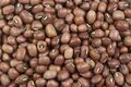 Red mung bean