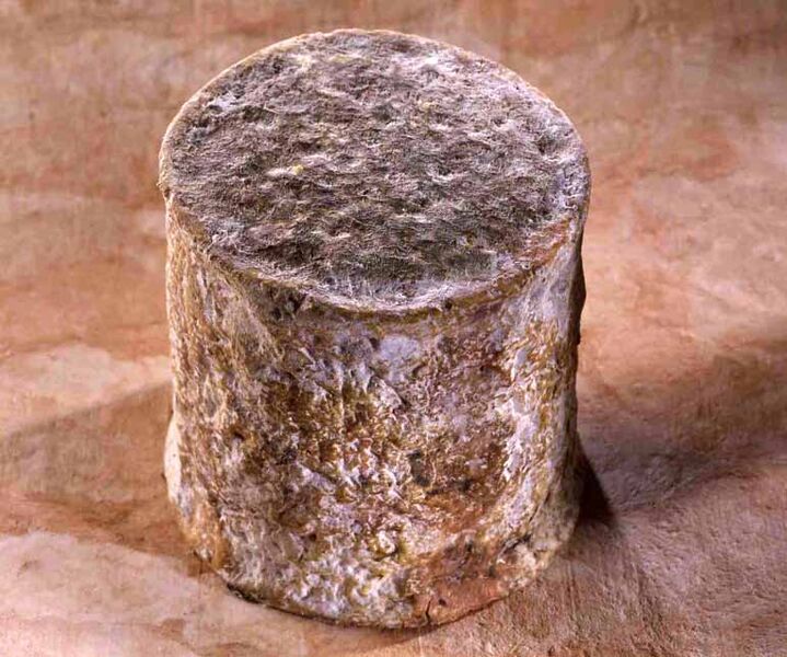File:Persillé de Tignes cheese.jpg