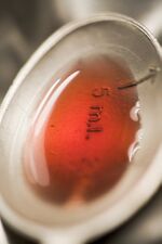 Thumbnail for File:Raspberry vinegar recipe.jpg