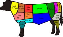British cuts of beef